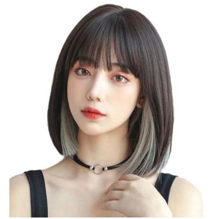wig Wanita Lurus Berponi / Rambut Wig Wanita HT