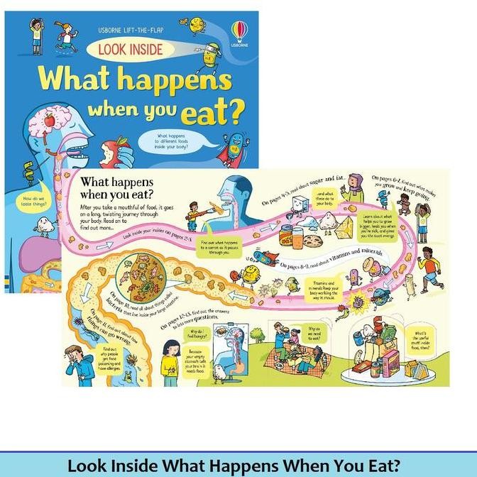 Buku Usborne Lift The Flap Look Inside What Happens When You Eat?