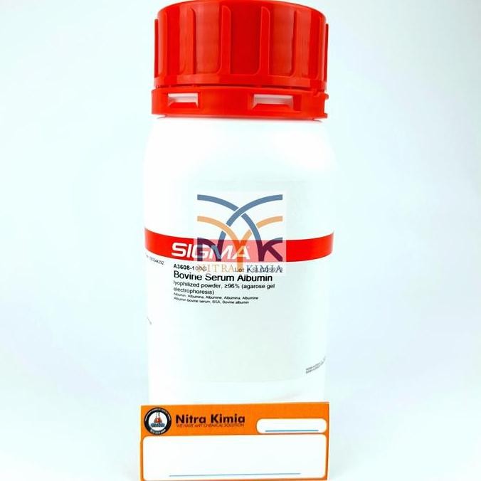 BSA/Albumin/Bovine Serum Albumine