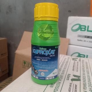 Fungisida Kuproxat 345 SC