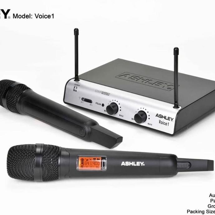 Mic Ashley Voice 1 / Voice1 Original