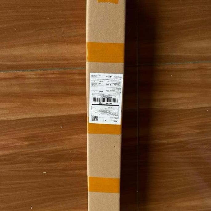 Tanaman Hias Peperomia Watermelon || Peperomia Watermelon