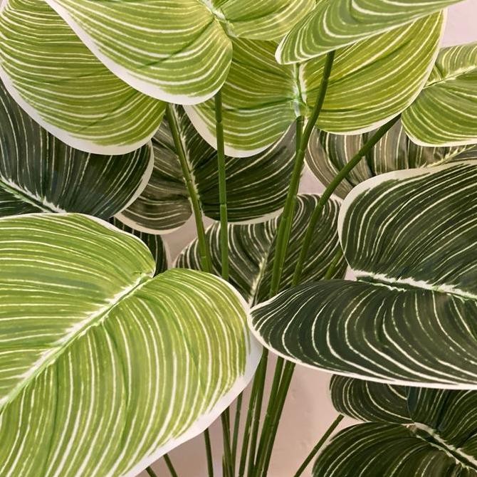 Daun Aglonema Artifisial 18 Daun Plastik Tanaman Pojok Rumah Bunga Dekorasi Pojok Rumah Murah