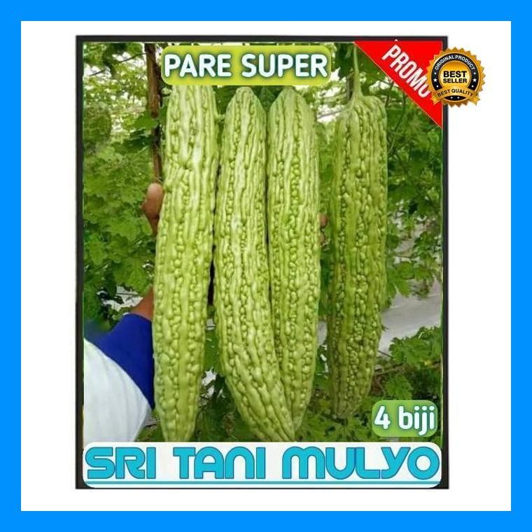 [Cod] - 4 Biji - Benih Pare Paria Raden F1 - Panah Merah / Biji Pare / Bibit