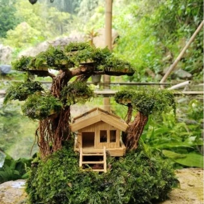 bonsai rumah kayu aquascape mos wiping bonsai asli tanaman hidup dekorasi aquarium