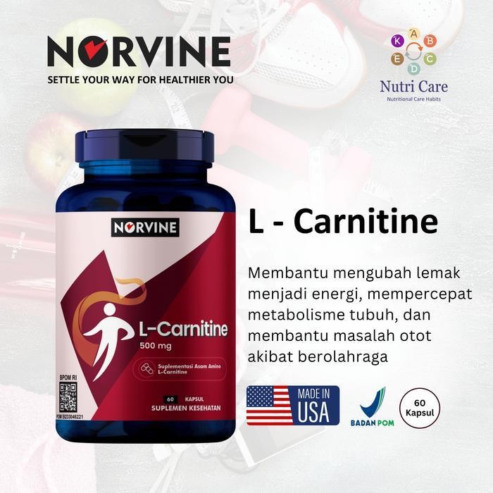 Norvine L Carnitine 500mg - Isi 60 BPOM | Pemulihan Pasca-Olahraga & Metabolisme Lemak