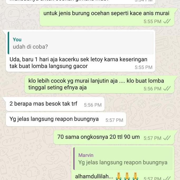 VOER VIEN MURAI BATU PAKAN PROTEIN TINGGI murah