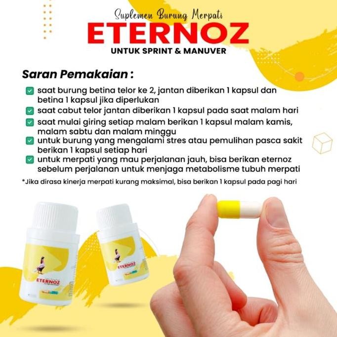 JAMU MERPATI ETERNOZ KUNING PUTIH BURUNG SPRINT MANUVER BURUNG MERPATI murah