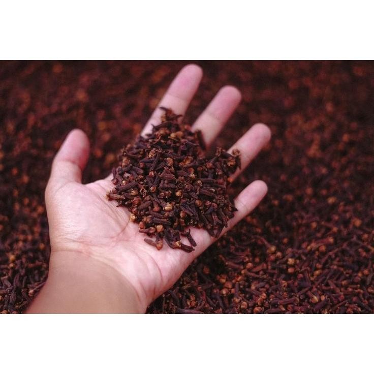 Cengkeh Super Cloves Cengkeh Kering Asli Rempah Kualitas Premium