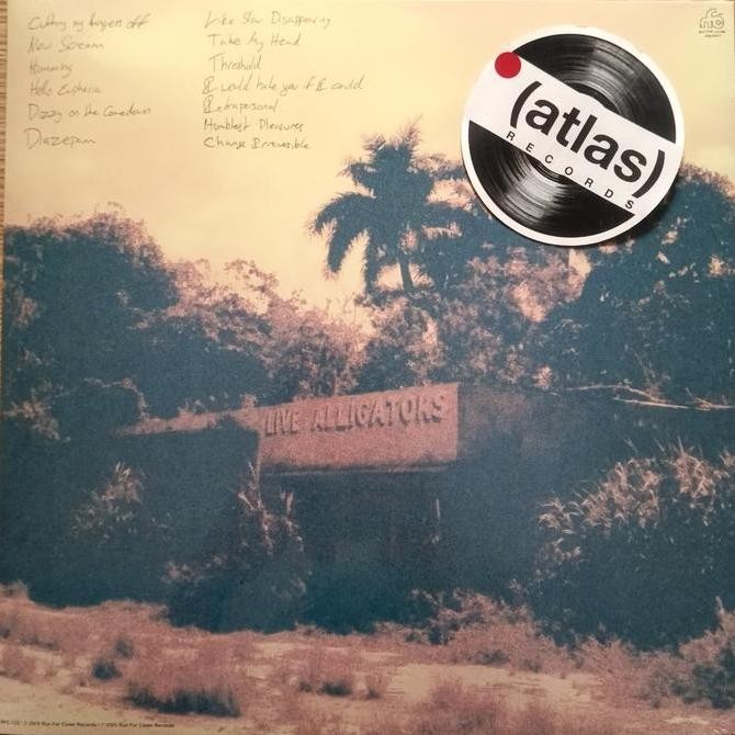 Vinyl / Piringan Hitam TURNOVER - Peripheral Vision (10th Anniversary) Rare Koleksi Original