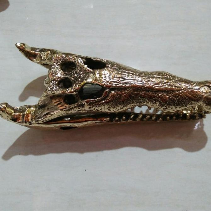 Kualitas terbaik] pajangan tengkorak Buaya Crocodile