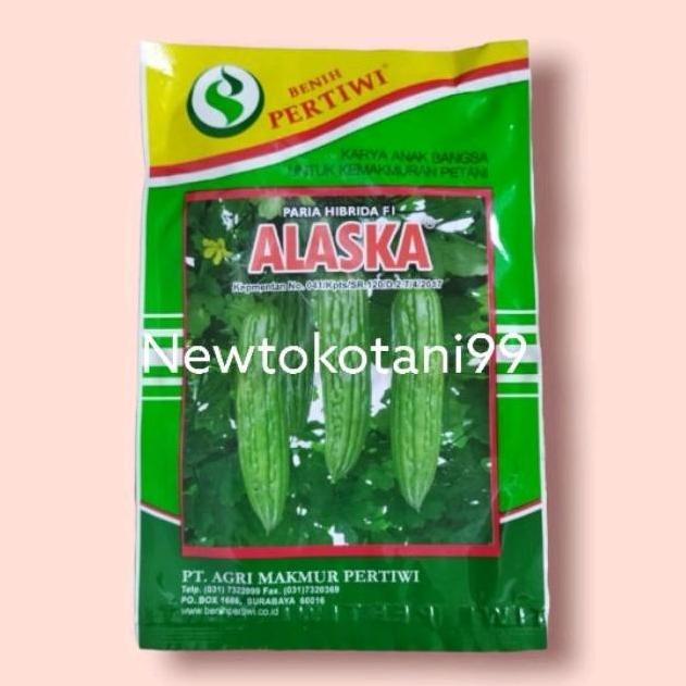 Promo Benih Paria Alaska F1 10 Gram Pare Hibrida Alaska Dari Benih Pertiwi Cod