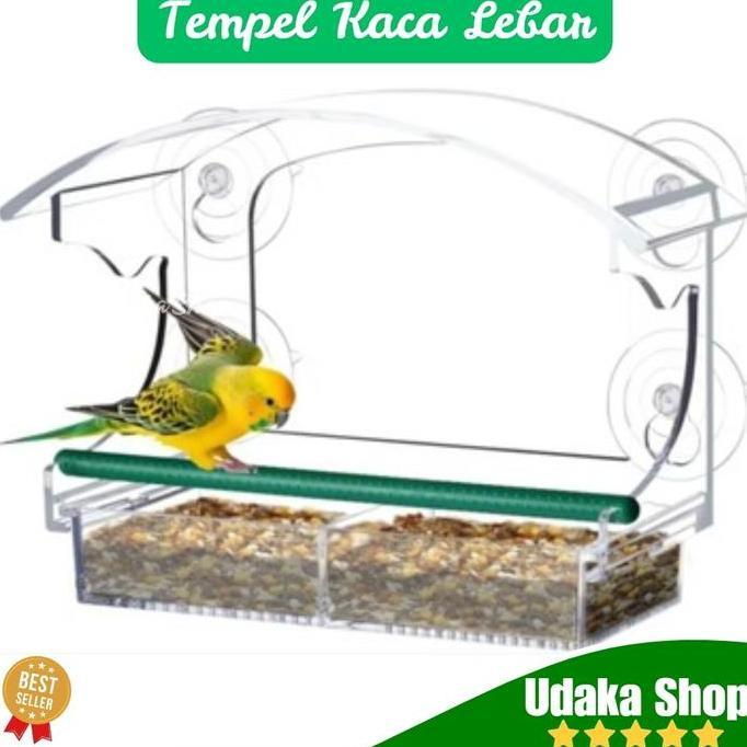 tempat makan burung liar