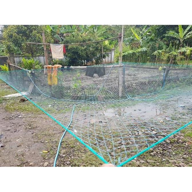 jaring anco nilon 2 inchi 3m x 3m benang D3 Diskon