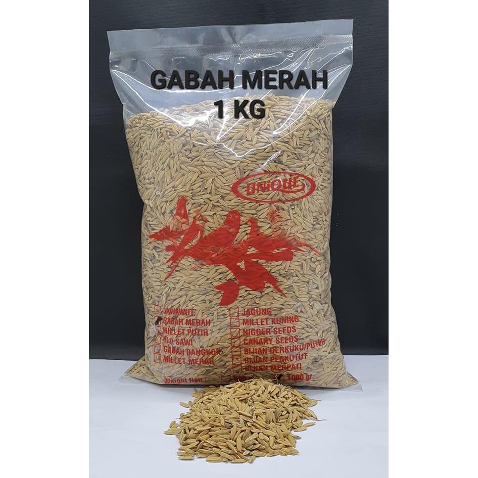 UNIQUE UNIK GABAH MERAH 1 KG UNTUK LOVEBIRD AYAM PERKUTUT TEKUKUR