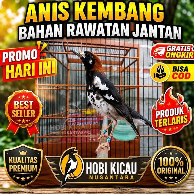 BURUNG ANIS KEMBANG RIWIKAN JANTAN