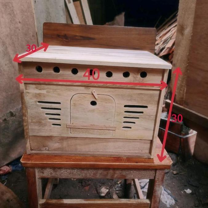 gupon merpati ful kayu jati