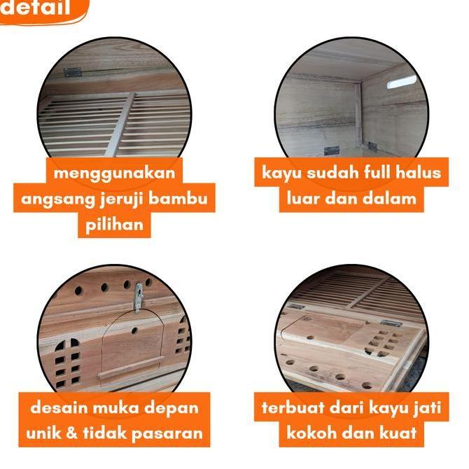 PAGUPON GUPON MERPATI KAYU JATI LIPAT KANDANG DARA LIPAT