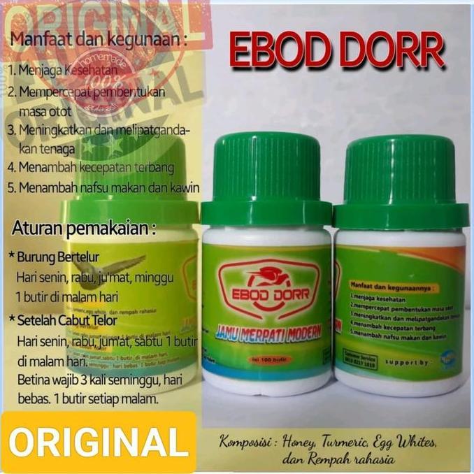 JAMU MERPATI EBOD DORR KESEHATAN BURUNG MERPATI PEMBENTUKAN OTOT CEPAT