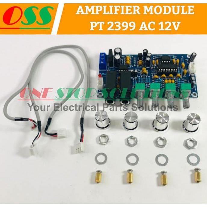 ECHINACEA KIT ECHO MIC AUDIO REVERB XH-M173 PT2399 MICROPHONE