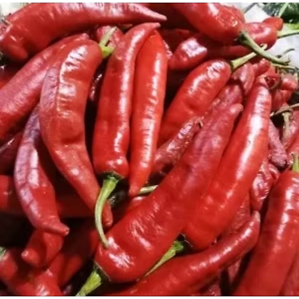 Cabe Merah Tanjung