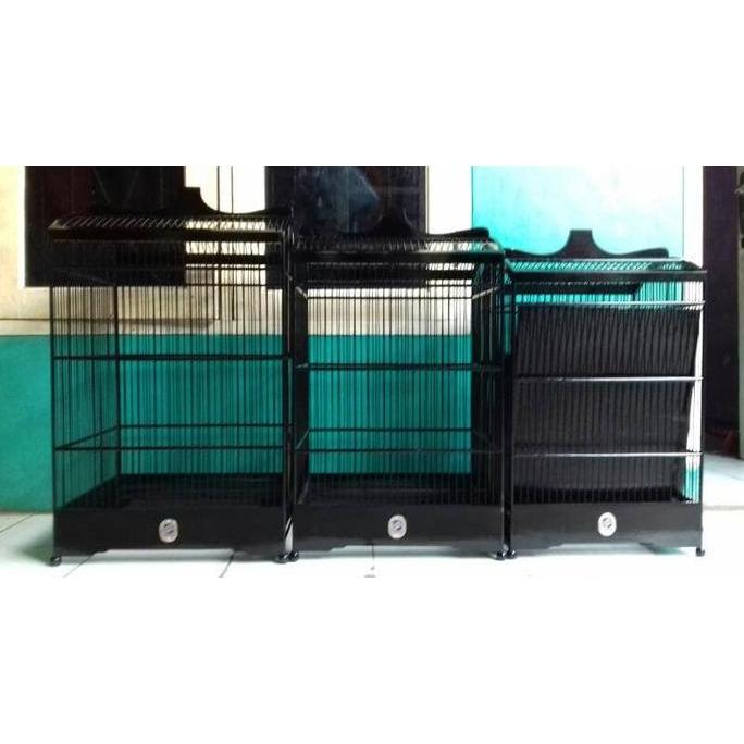 New Item, Kotak Ebod No3