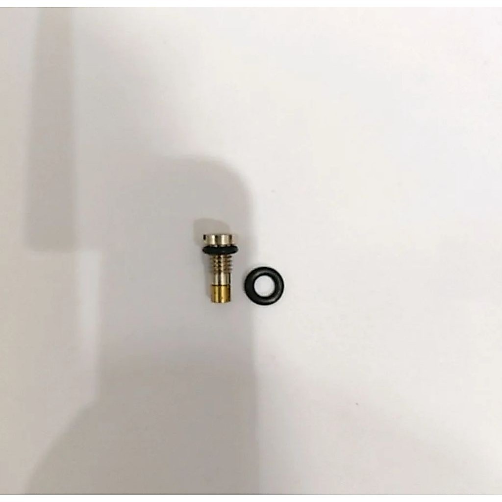 Inlet Valve WE + Ring
