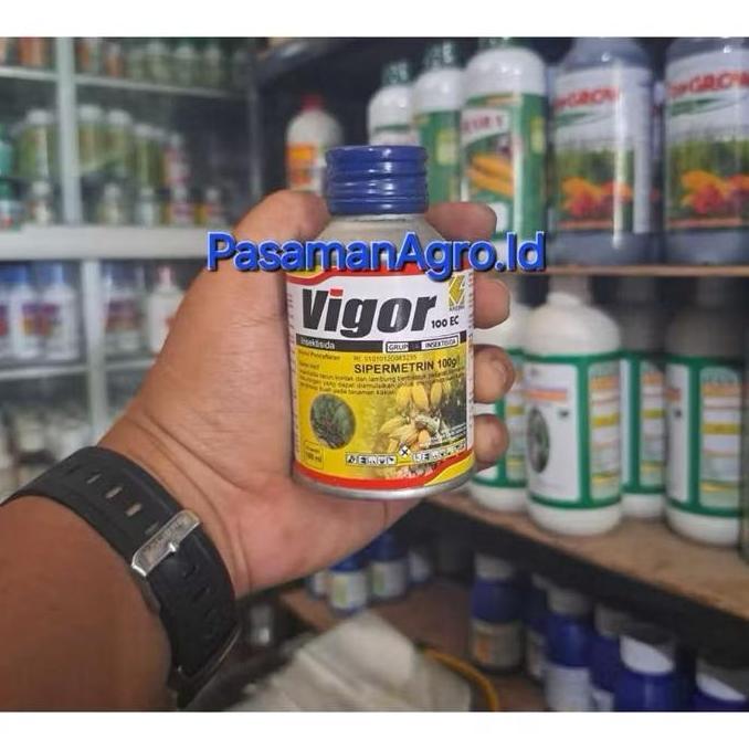 yang dicari] INSEKTISIDA VIGOR 100 EC - 100 ML