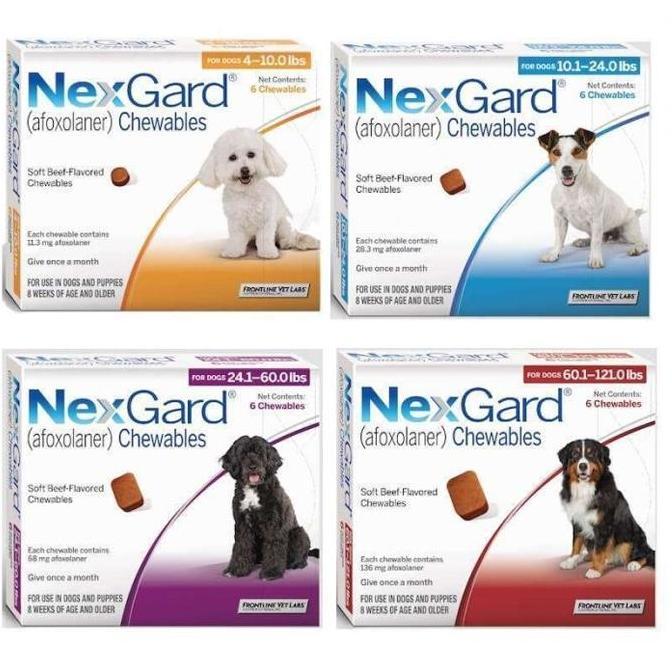 Obat Kutu Anjing Dan Demodex NEXGARD Dog S / M / L / XL