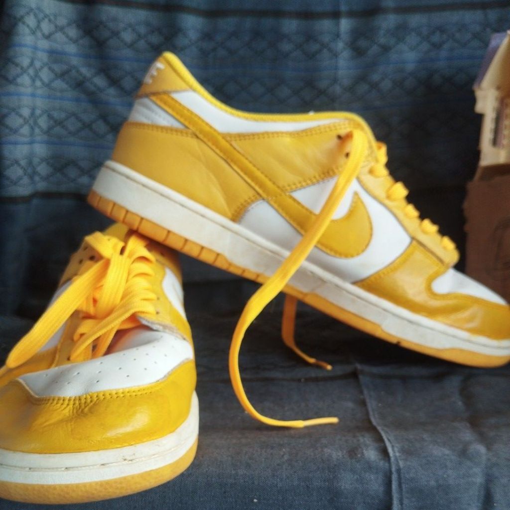 Nike Dunk Low