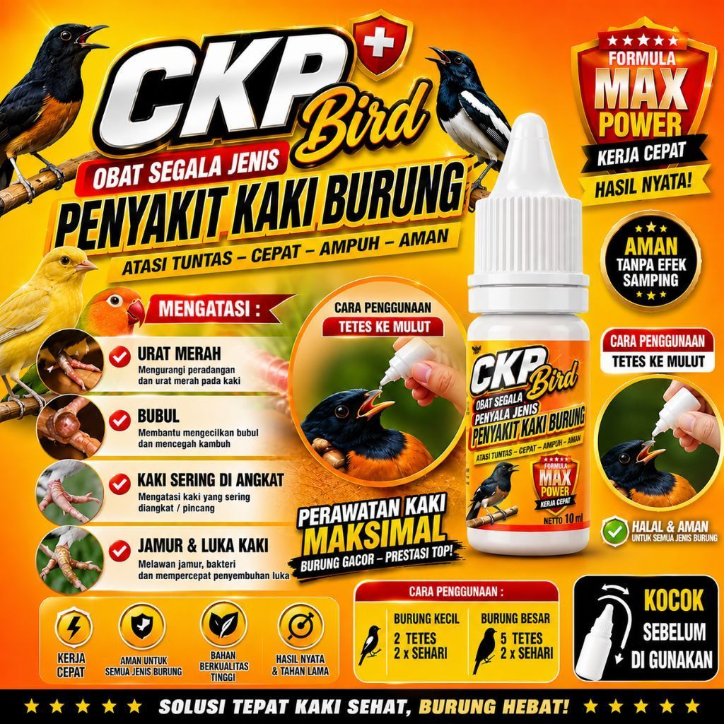 obat urat merah kaki kenari dan burung lainnya