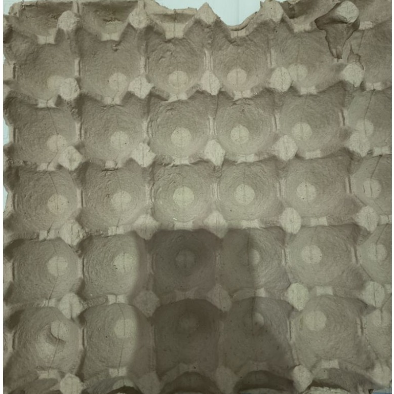 Egg Tray Karton Bekas - Praktis, Ekonomis, 30 Lembar