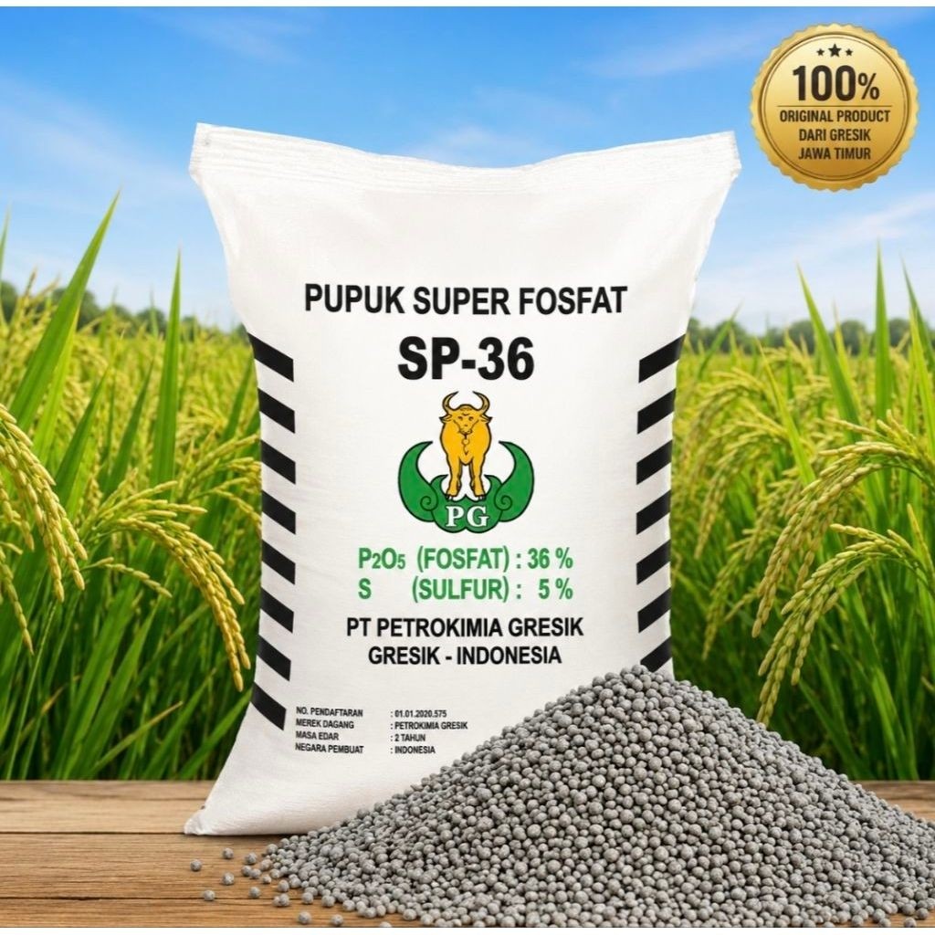 Pupuk Fosfor TSP SP36 1 kg - Tingkatkan Produksi Tanaman dengan Fosfor Tinggi