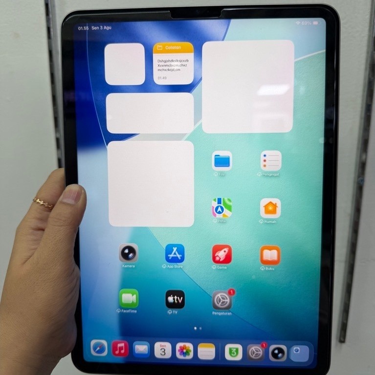 Ipad Pro M2 11" 256GB wifi only second batangan ex garansi inter
