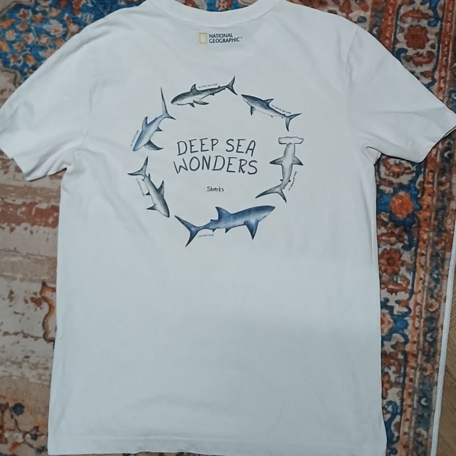 kaos natgeo pocket second