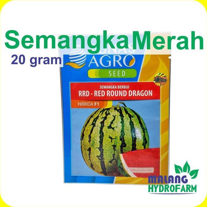 Benih Semangka Merah Rrd Red Round Dragon F1 20 Gram Tunas Agro Bibit Biji Unggul Buah Bulat Bali Fl