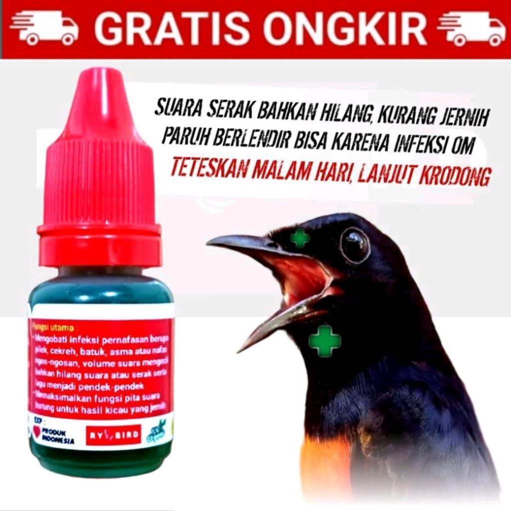 RYO SUPER GURAH Obat Burung Serak Infeksi Saluran Pernafasan Obat Serak Untuk Burung Murai Bikin Bur
