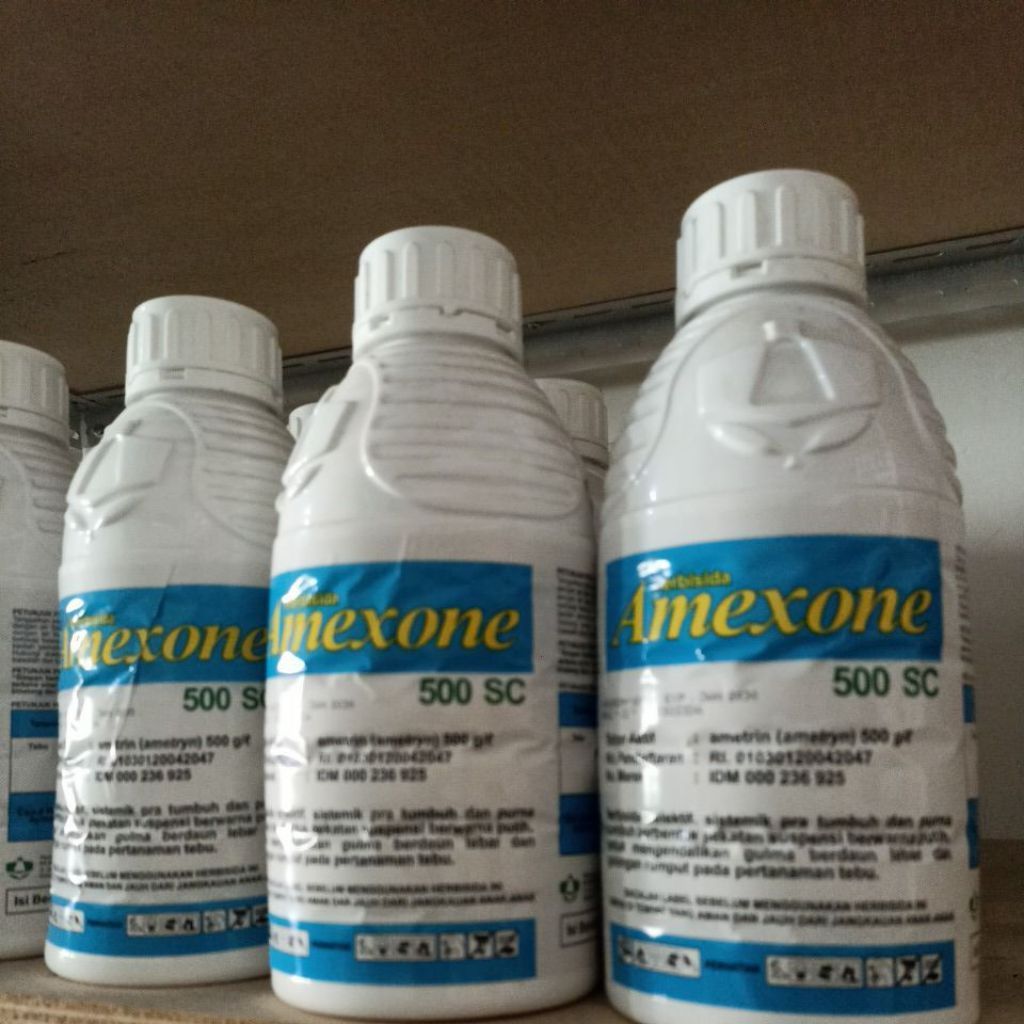 Amexone 500SC 500ml - Herbisida Sistemik Selektif untuk Tebu, Jagung, Nanas, dan Padi