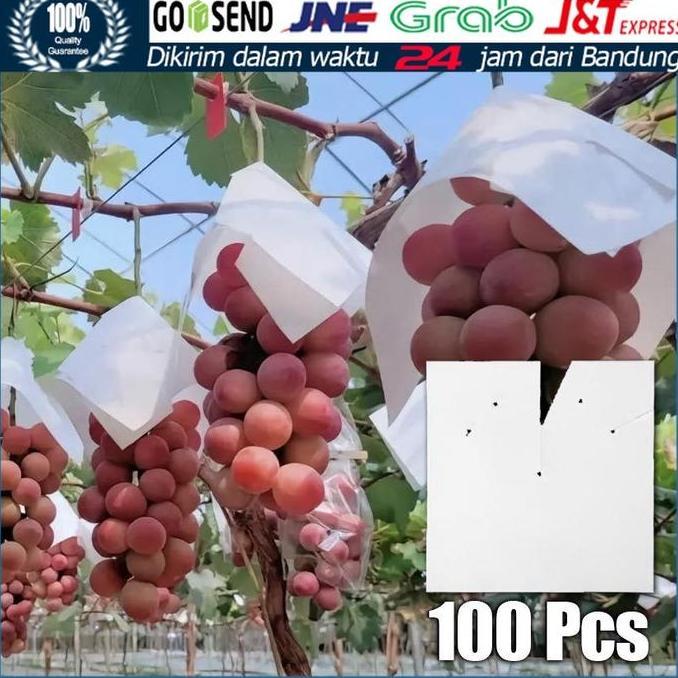 GHUNZING 100Pcs Payung Anggur Fruit Cover Pembungkus Pelindung buah Anti Air Hama 26 X 26 / Fruit co