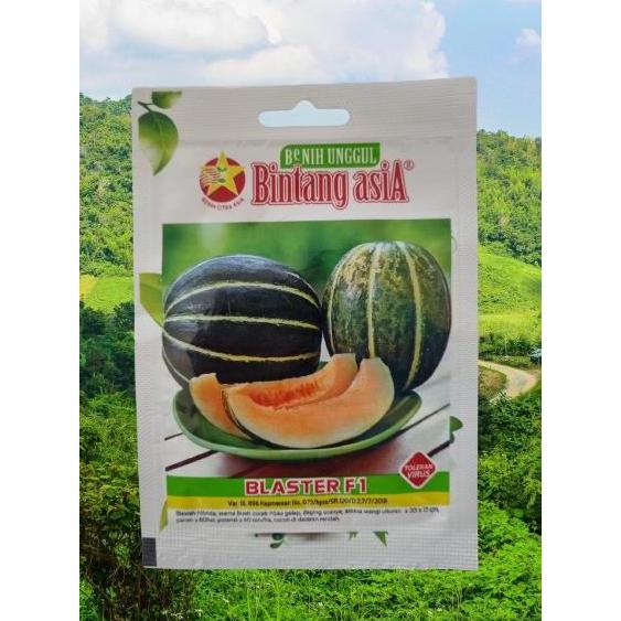 Promo Benih Blewah Hibrida BLASTER F1 Diskon