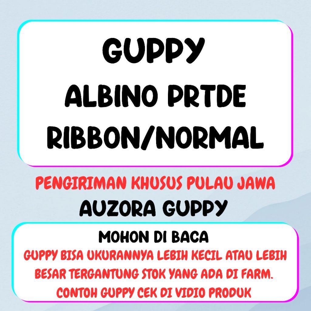 HIASAN AQUARIUM (1 PASANG) GUPPY ALBINO PRTDE RIBON RIBON/NORMAL SIZE INDUK