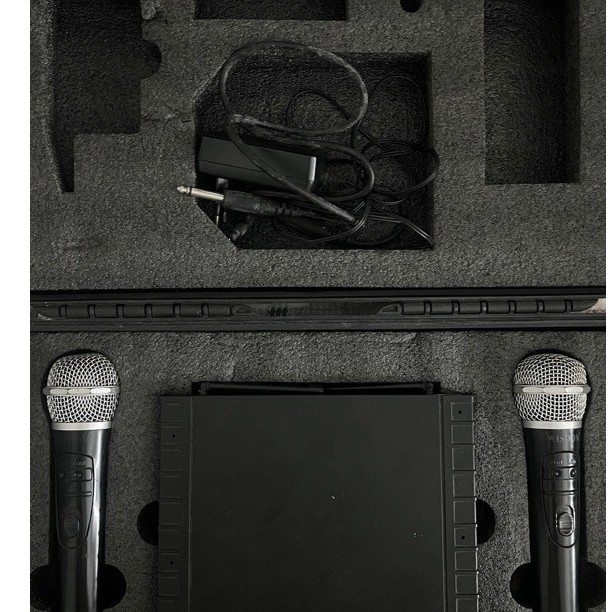 Mic Wireless Wisdom WD 223