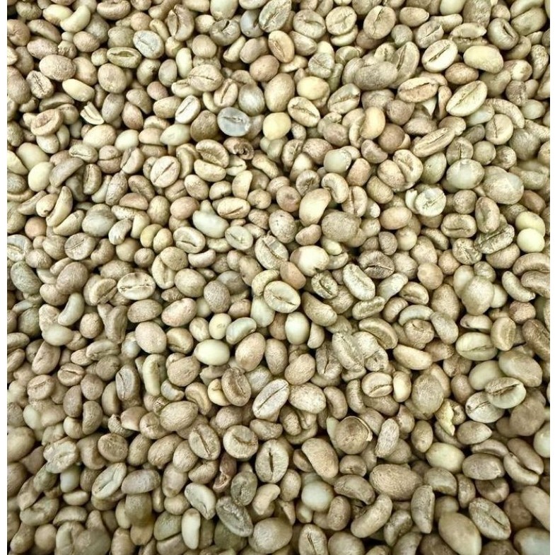 COD / BIJI KOPI ARGOPURO LIBERICA & ROBUSTA GREEN BEAN 1KG