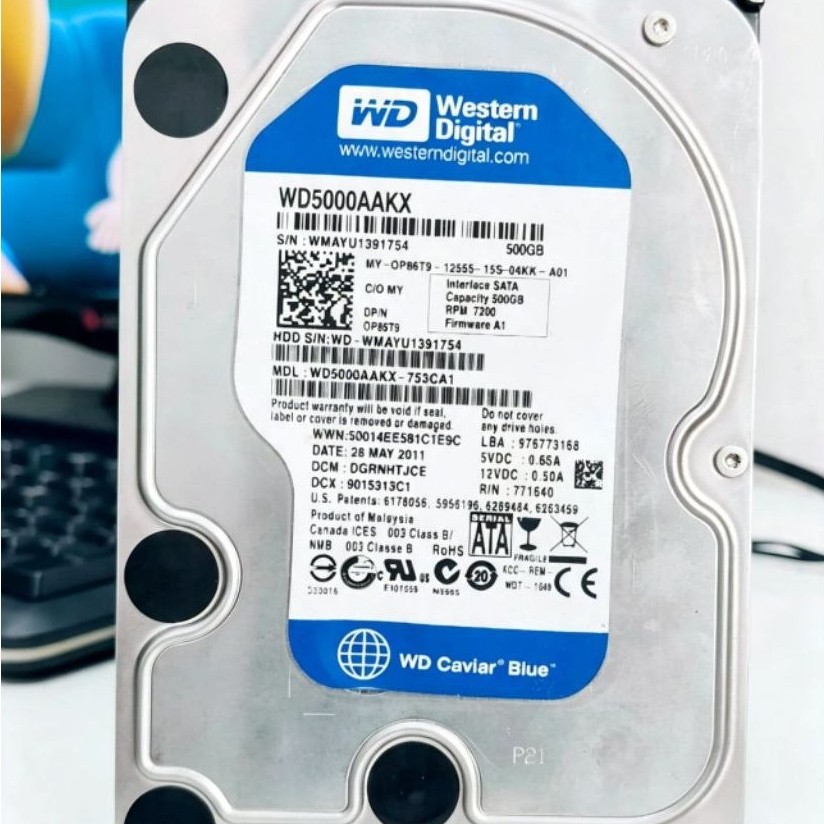 HDD WD BLUE 500GB (Second Normal)100/100%