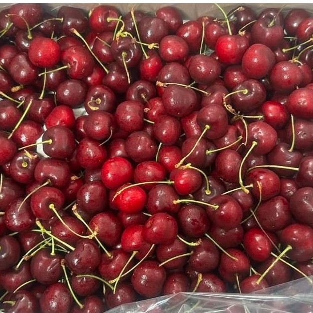 Cherry Canada Manis Segar dan Alami.