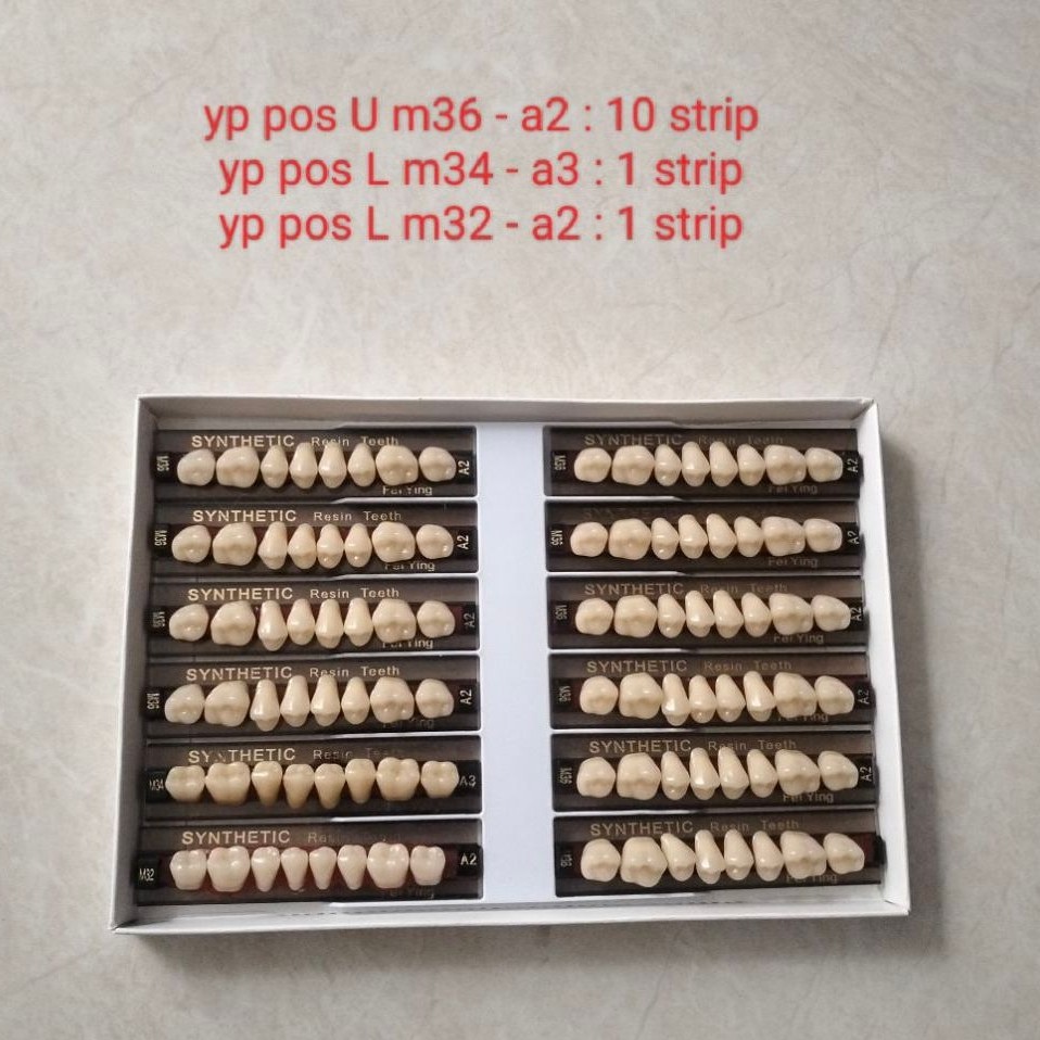 YP DENTAL Gigi Sintetis Resin Yp Dental Gigi palsu MIX