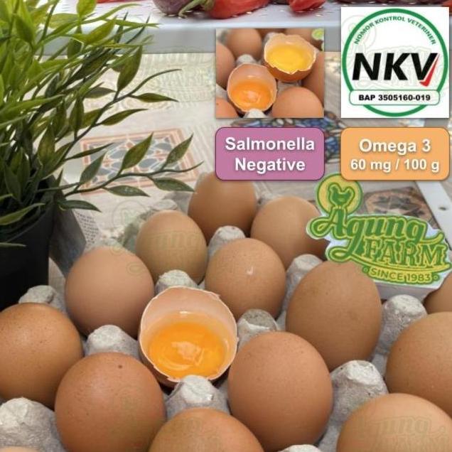 Indorasa- Telur Ayam Negri Per 1 Kg Curah Segar Dari Kandang Nkv