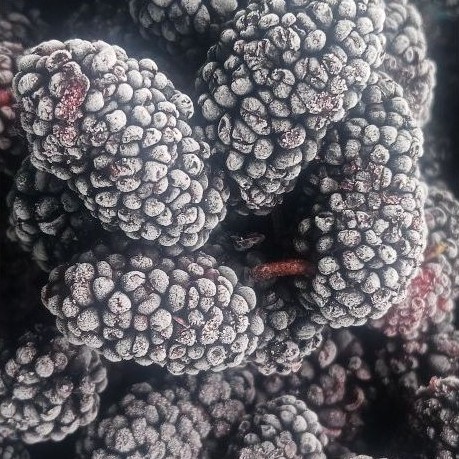 Buah Mulberry Frozen | Murbei Frozen / Beku | khusus kota Medan instan | 500 gram