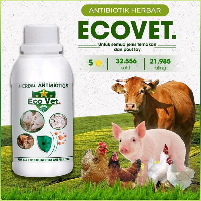 (Beli 1 Gratis 1) Ecovet Vitamin Nutrisi | Perangsang Nafsu Makan | Antibiotik Alami Hewan Ternak Sa