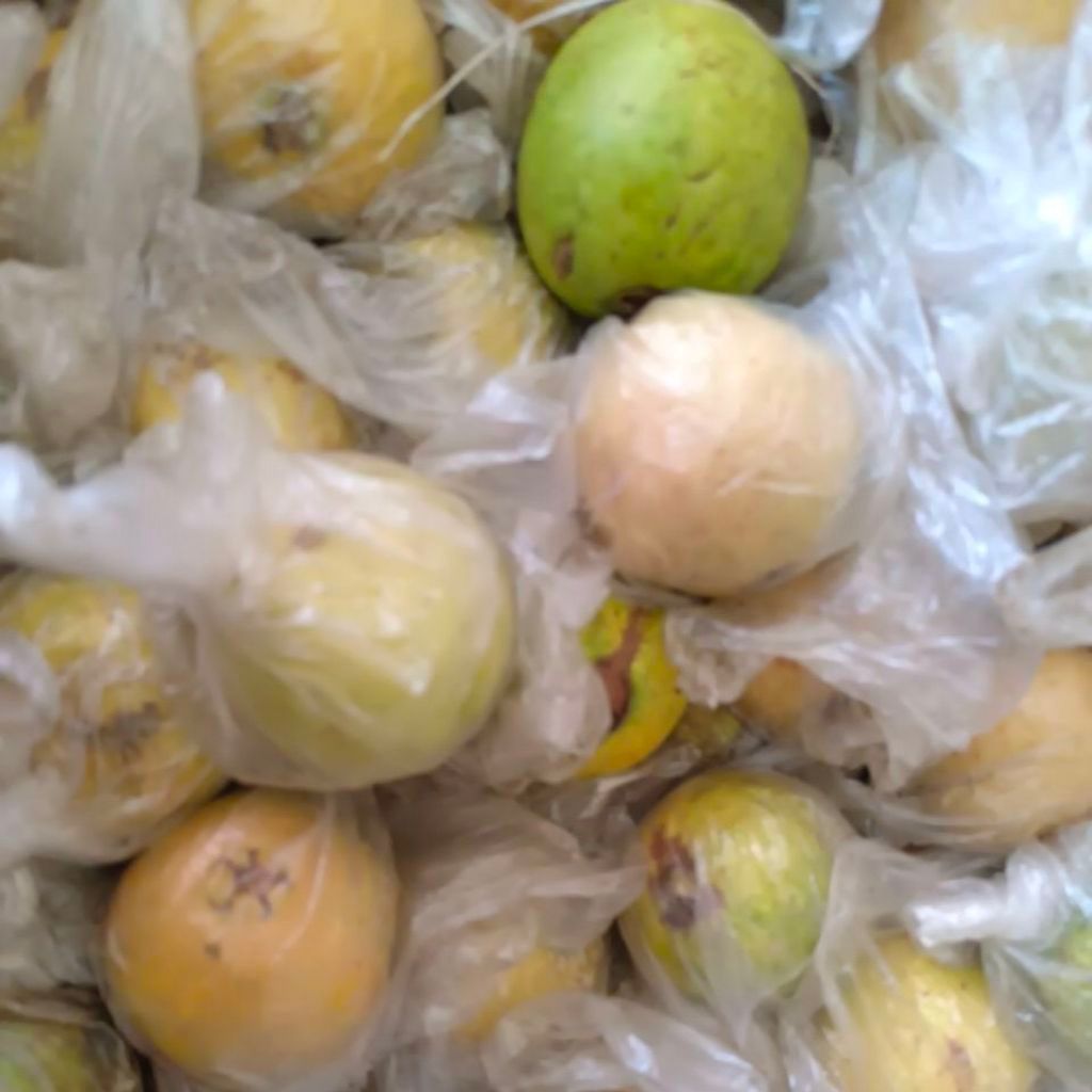 JAMBU MERAH 1kg